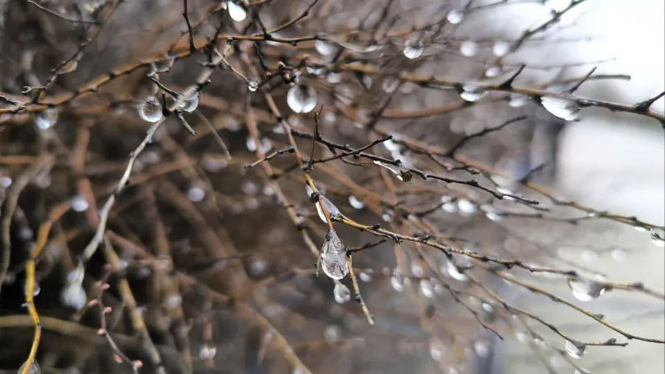 Фото: REGIONS/Роман Малышенко