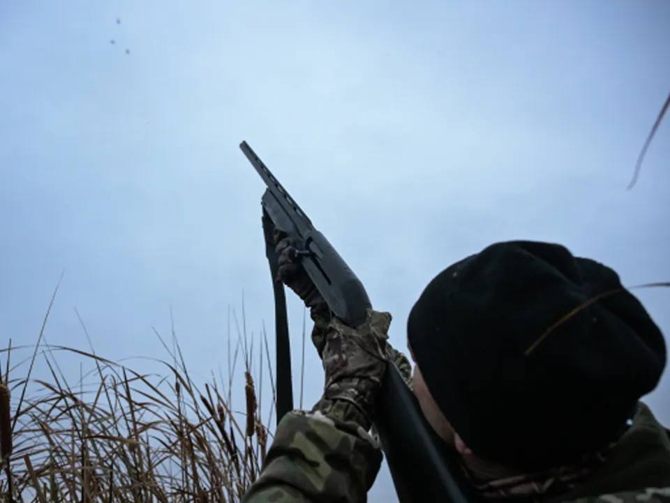 Фото: РИА Новости/Александр Кряжев