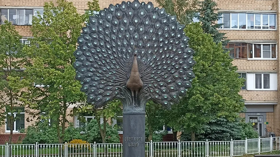 Фото: МедиаБанк Подмосковья/Александр Степушкин