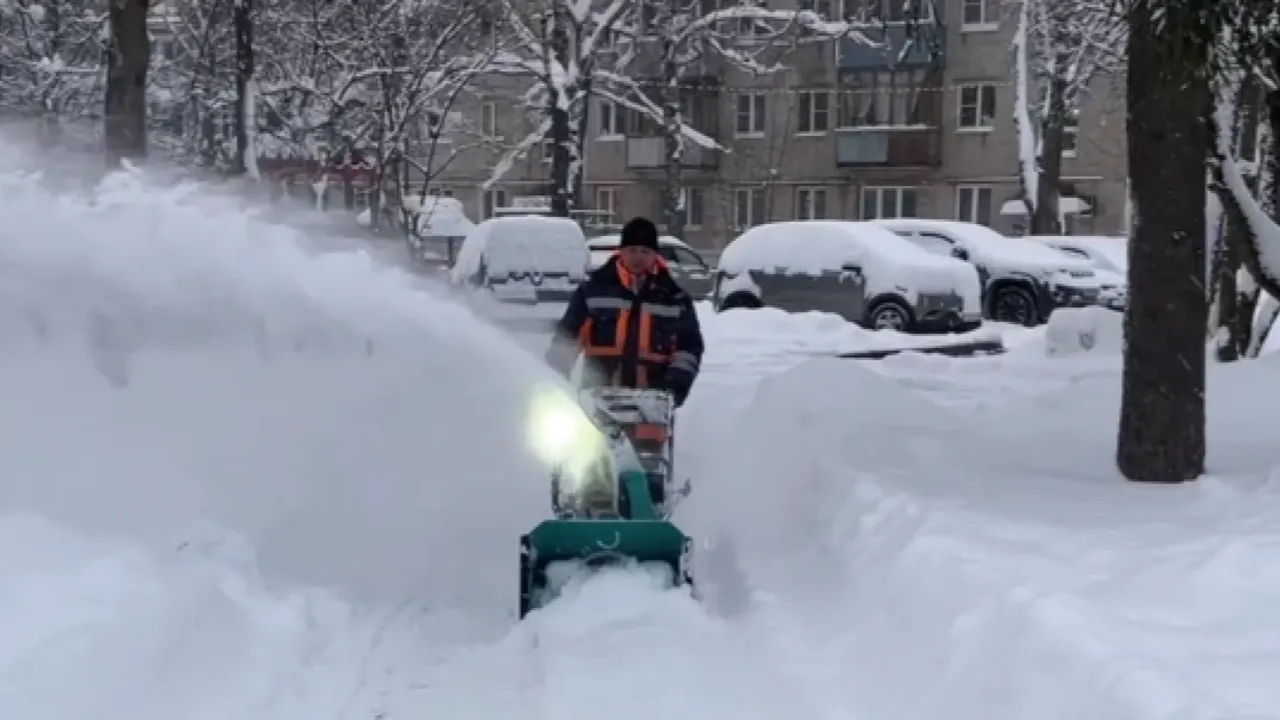 Фото: МБУ «Служба благоустройства»