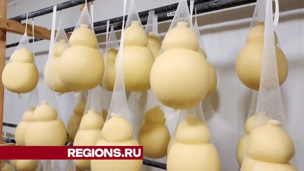 Наталья Лымарь