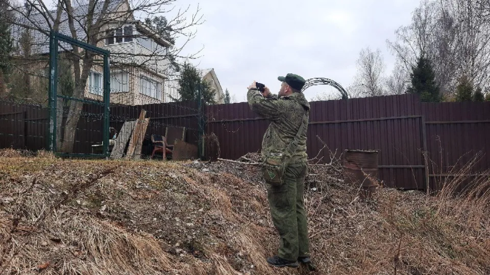 Фото: Комитет лесного хозяйства Московской области