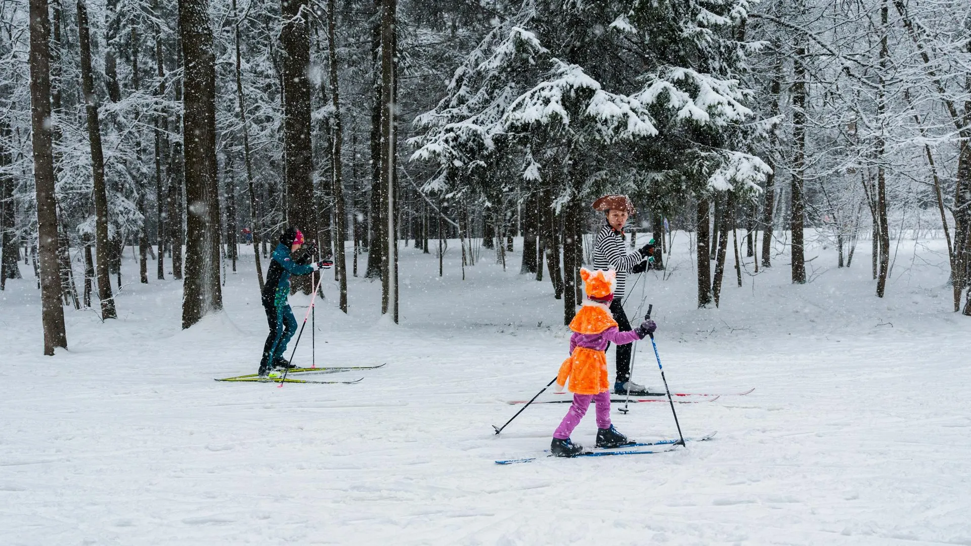 медиасток.рф