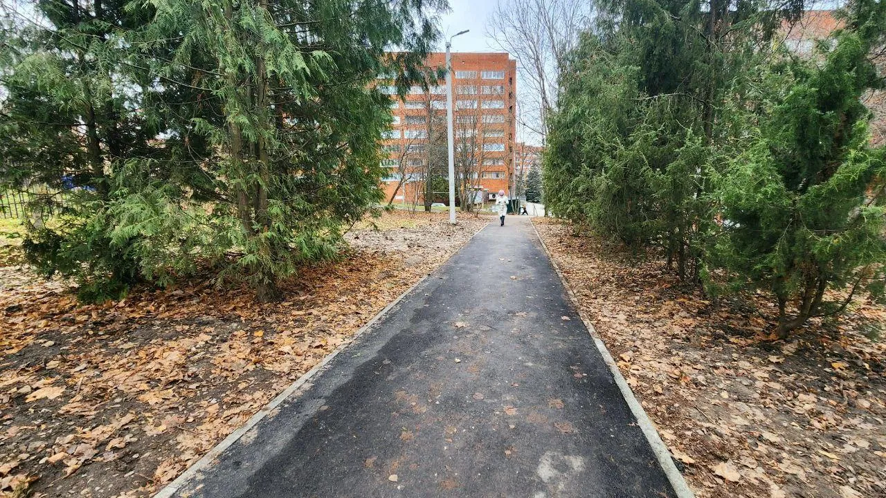 Фото: Мария Панина