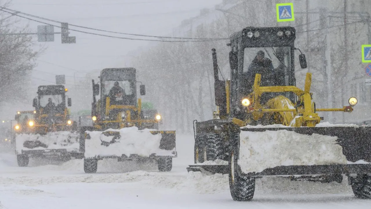РИА Новости/Сергей Красноухов