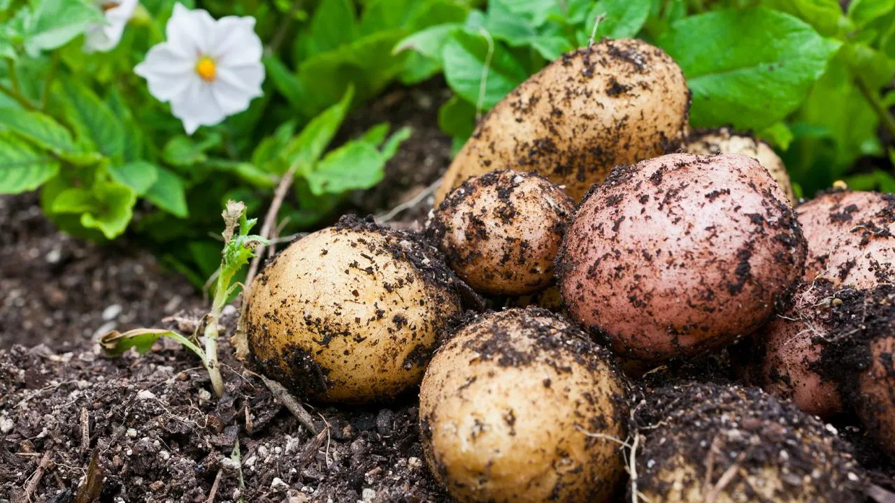 istockphoto.com/enjoynz