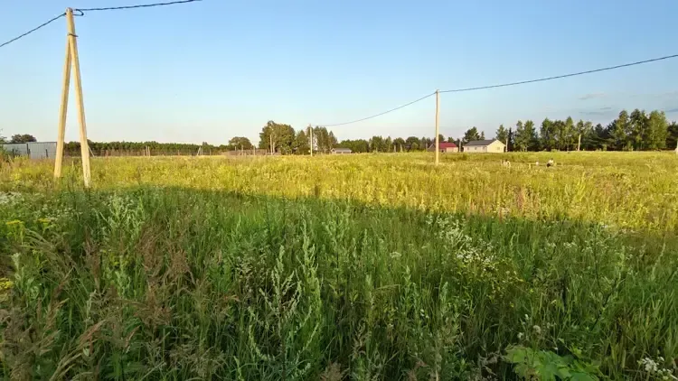 Участок на торгах