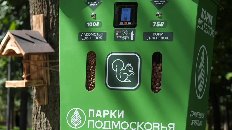 Фото: Министерство благоустройства Московской области