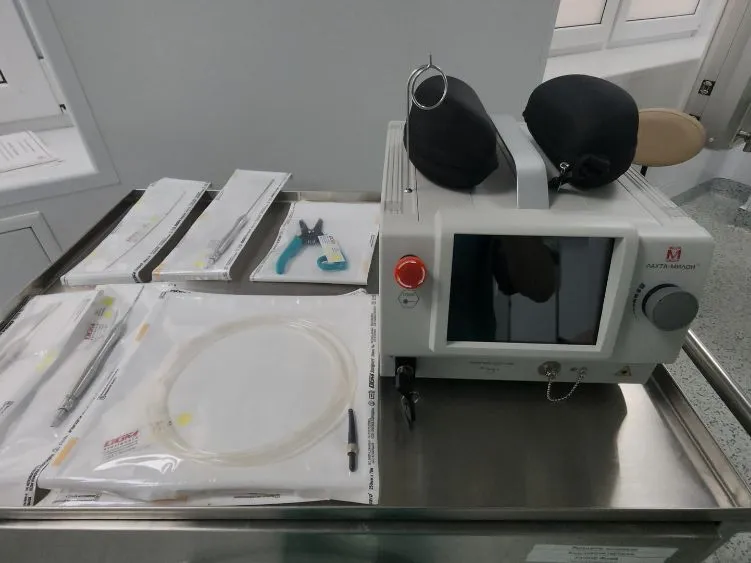 Фото: REGIONS/Артем Мишуков