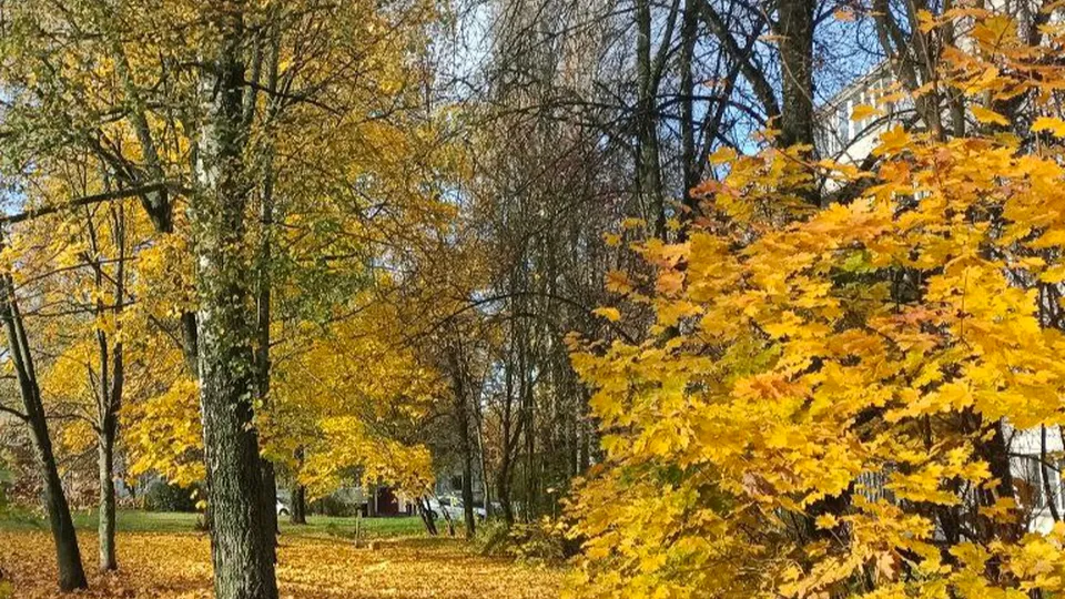 Фото: пресс-служба городского округа Кашира