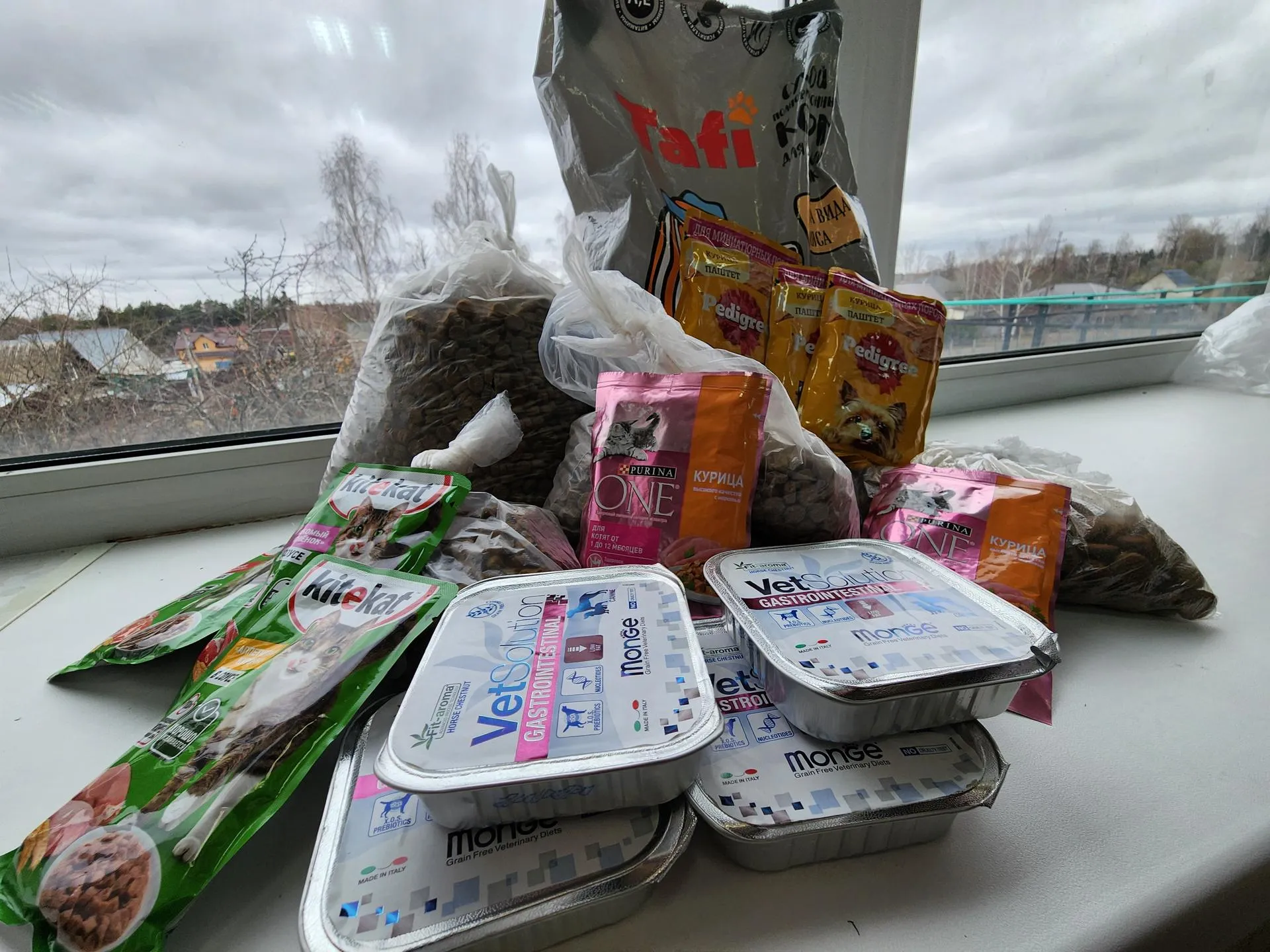 Фото:&nbsp;Екатерина Данилина