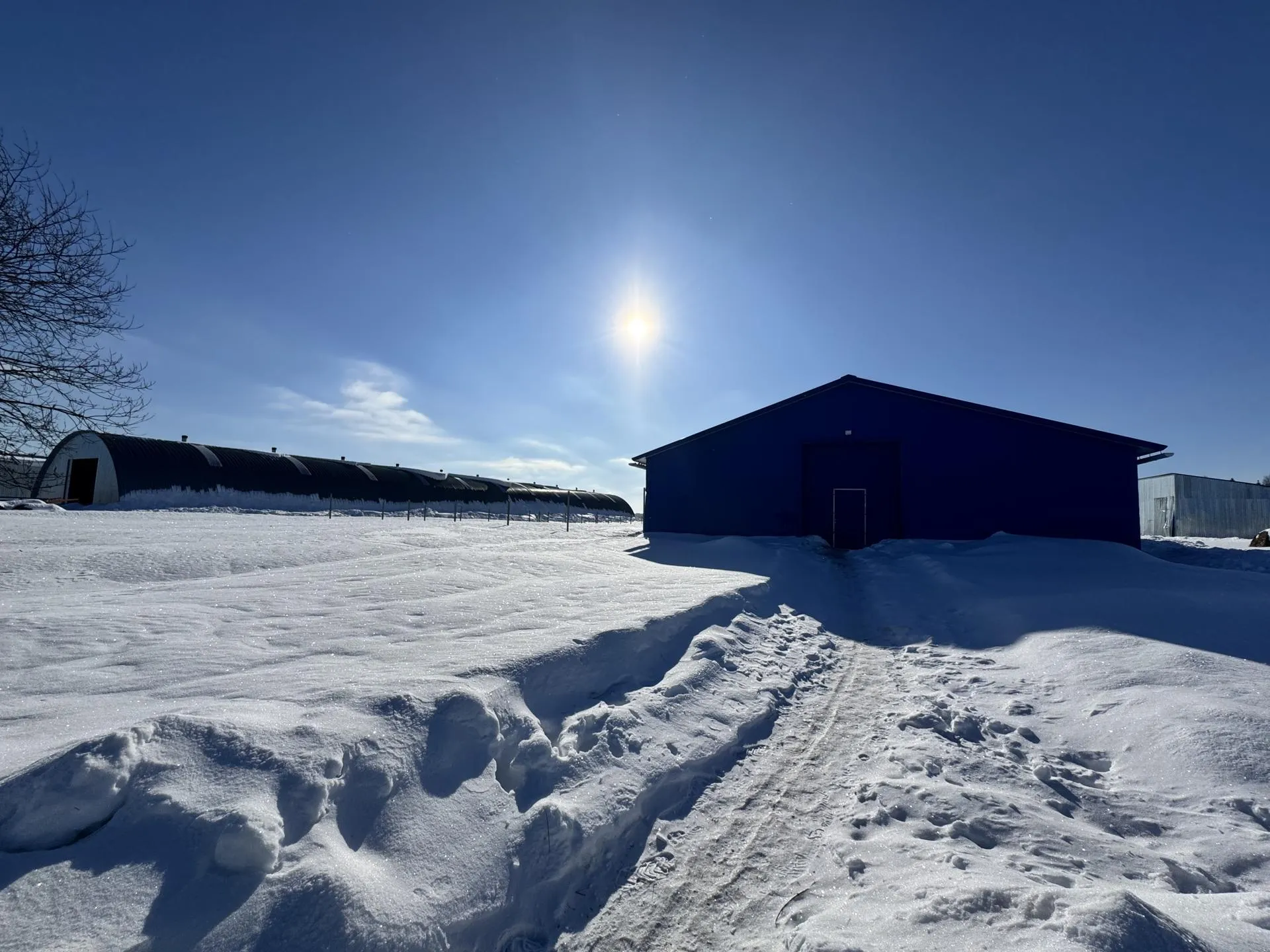 Татьяна Рунова