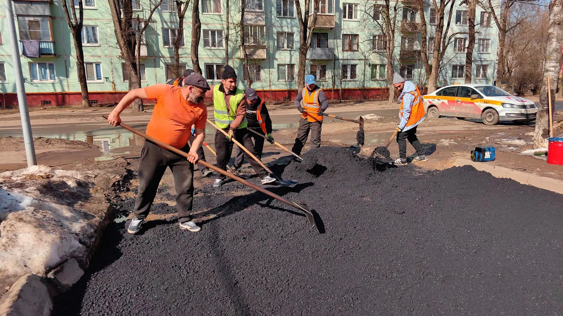 Елена Катасонова