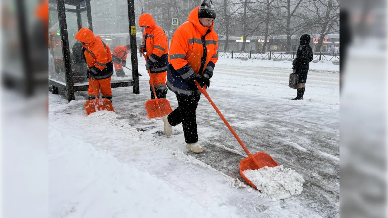 МедиаБанк Подмосковья/Анна Дука