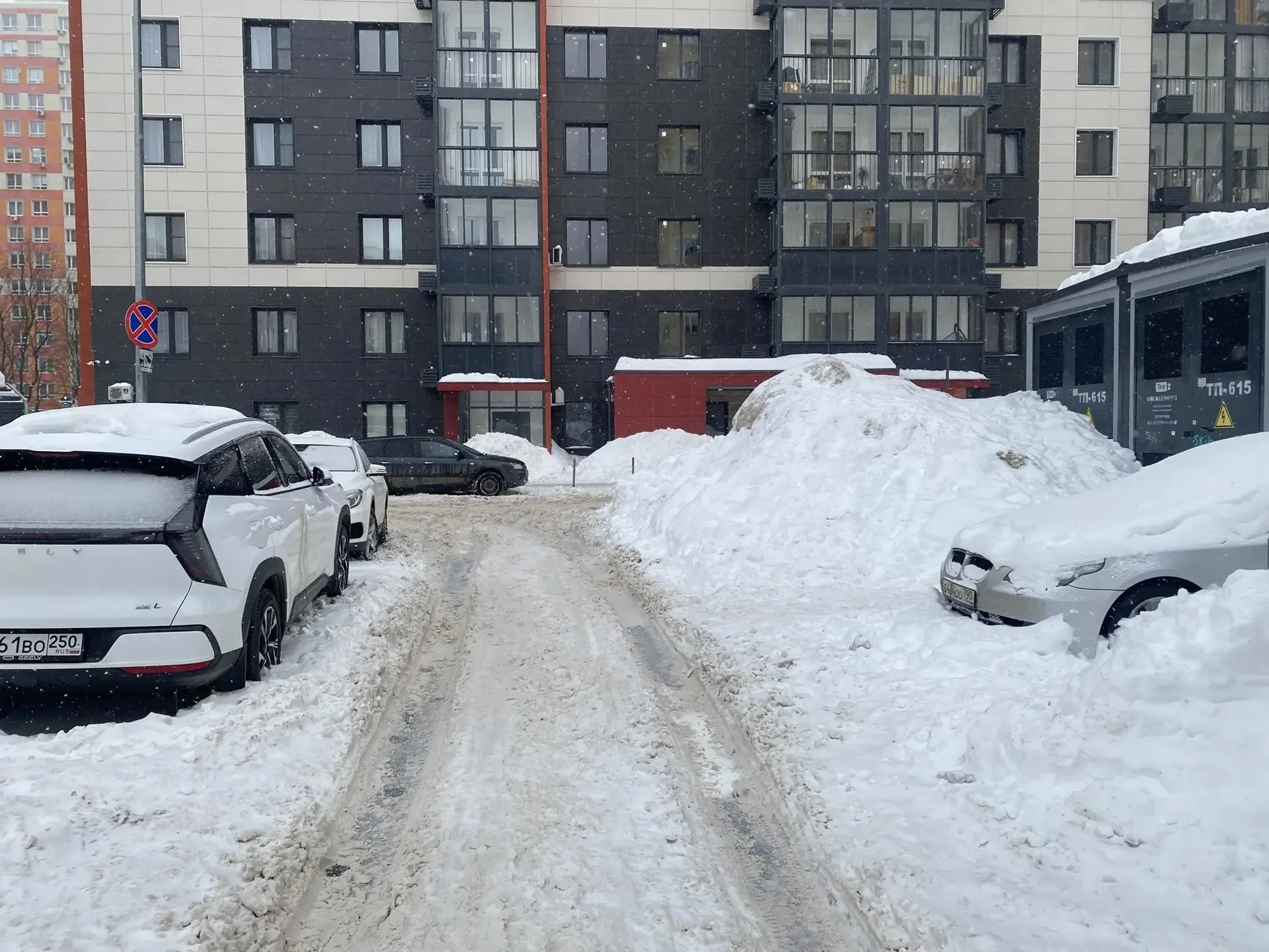 Елена Катасонова