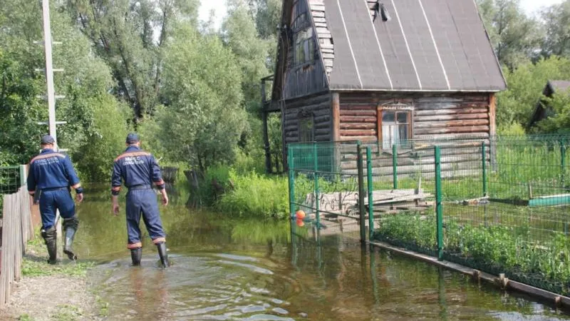 ruzaregion.ru