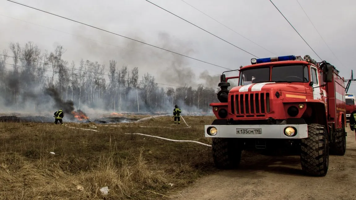 Фото: Медиаархив Подмосковья