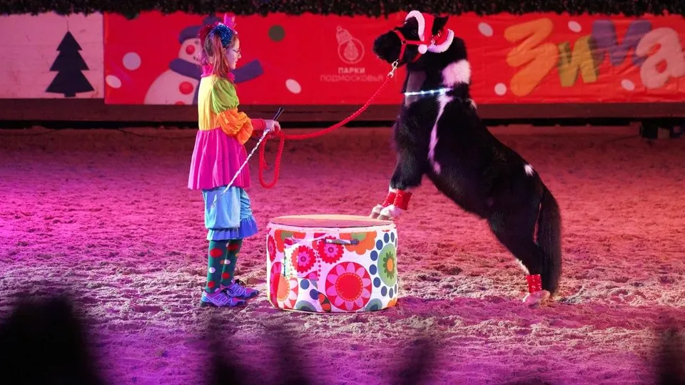 Фото: пресс-служба администрации г.о. Котельники