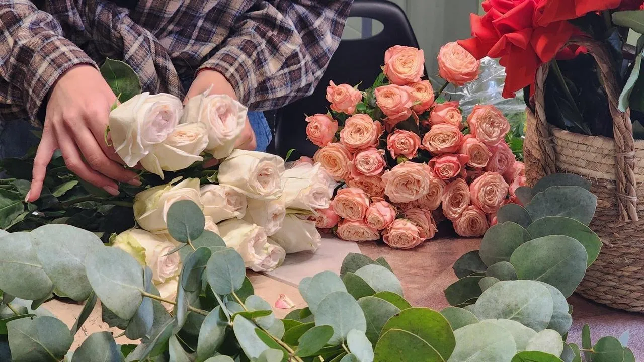 REGIONS/Анна Мороз