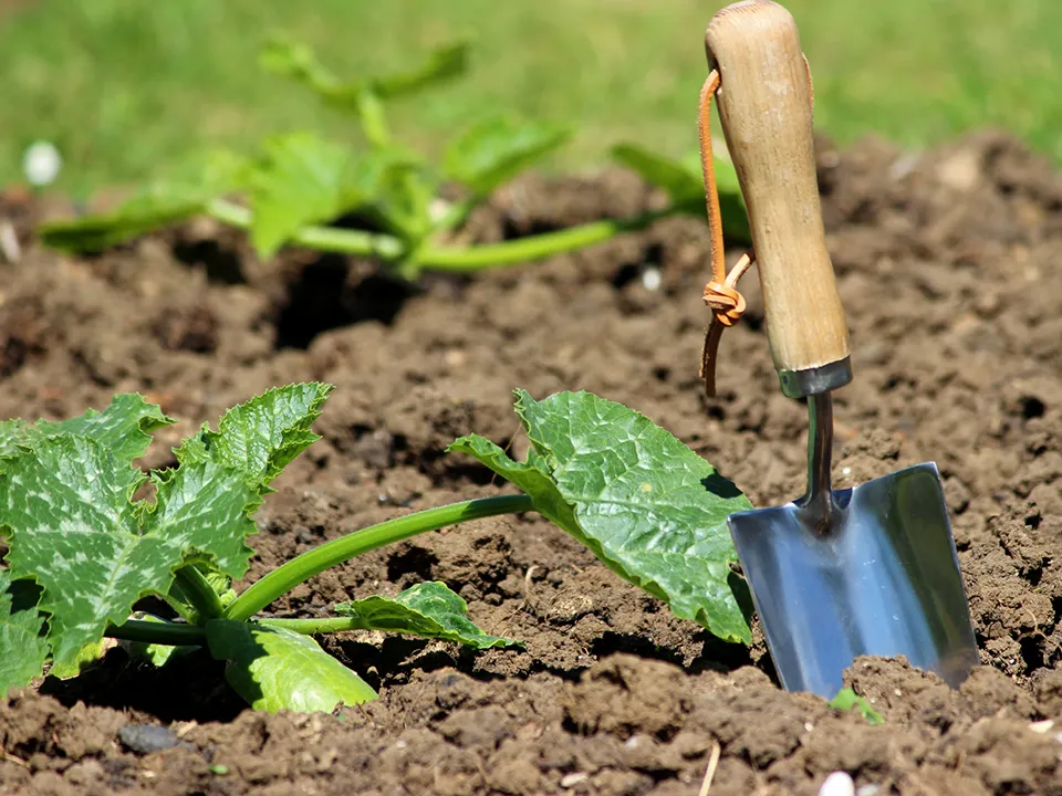 Фото:&nbsp;istockphoto.com