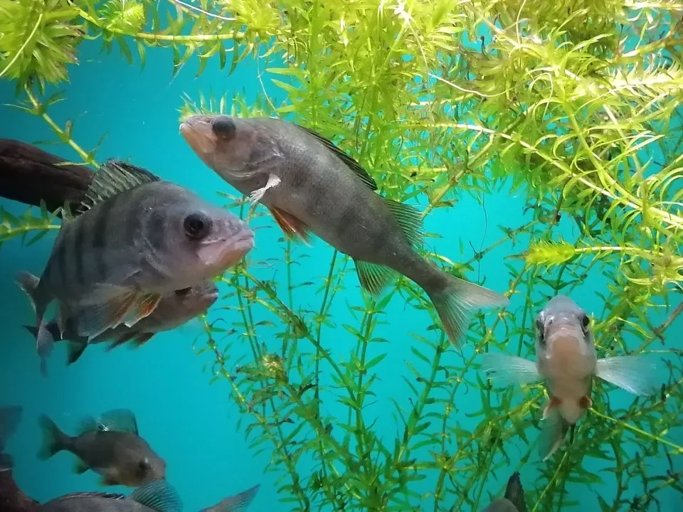 Фото: REGIONS/Татьяна Замятина