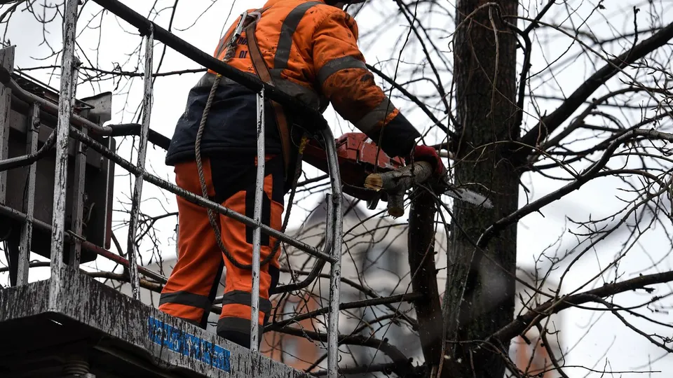 Фото: медиасток.рф