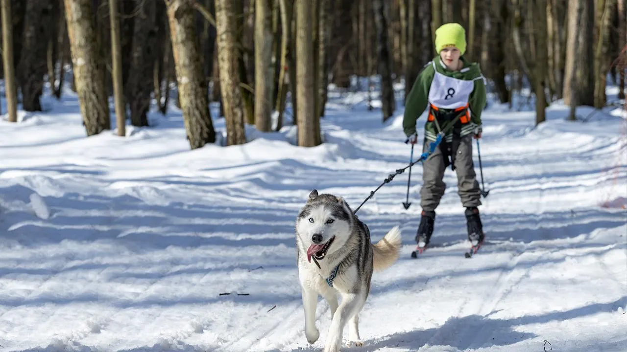 Юлия Козлова
