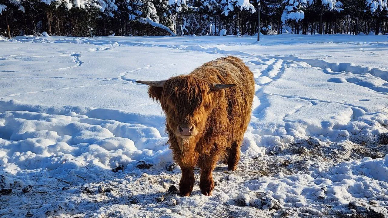 REGIONS/Евгений Рой