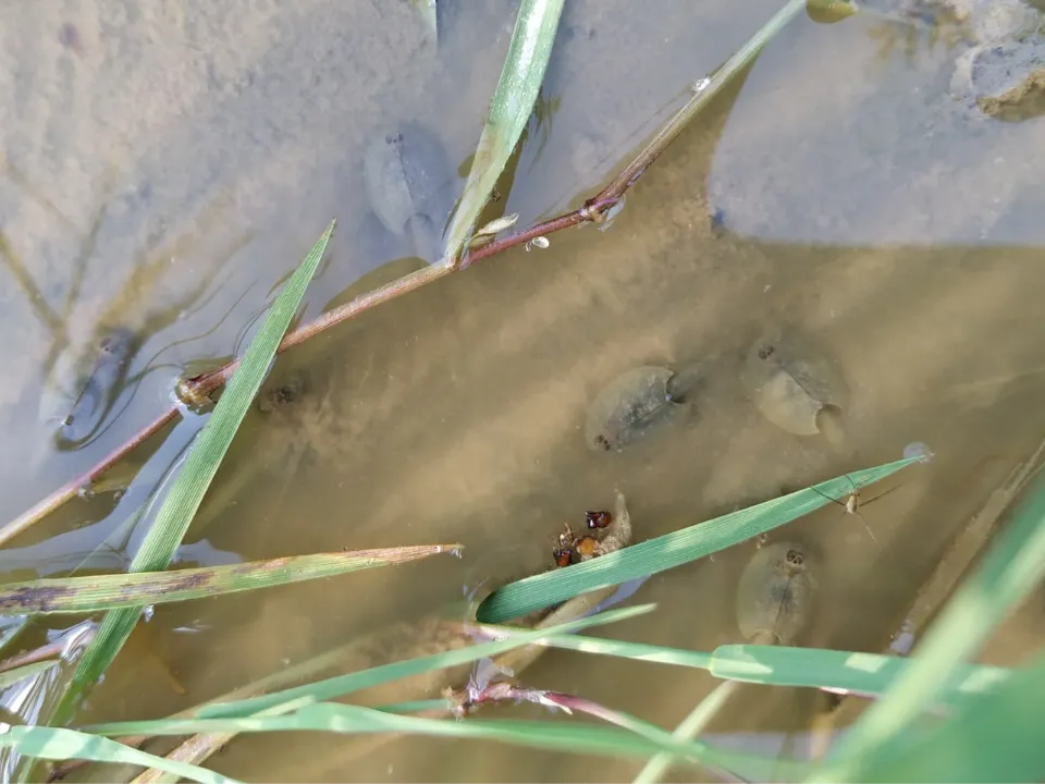 Фото: Владимир Шленсков