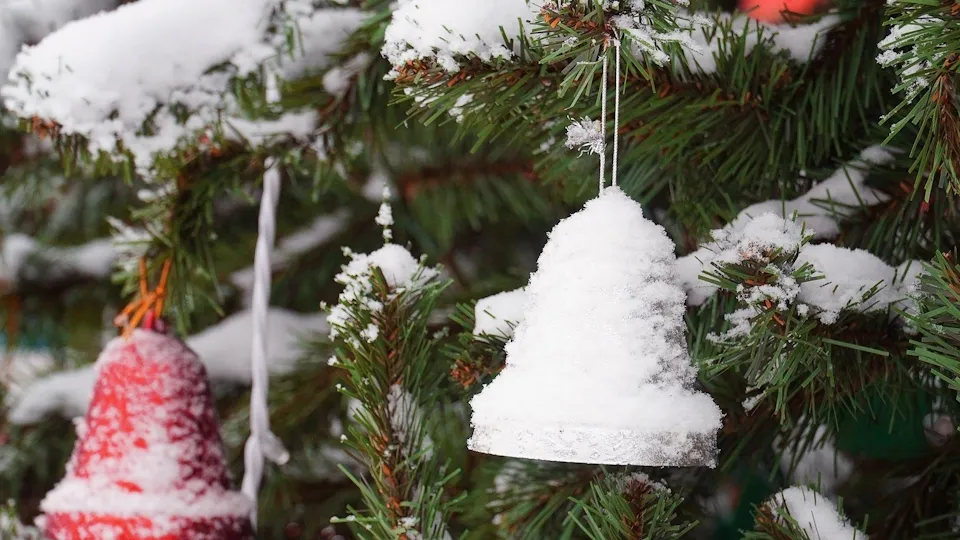 Фото: vk.com/Парки муниципального округа Чехов