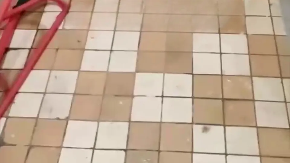 Фото: t.me/odi_city