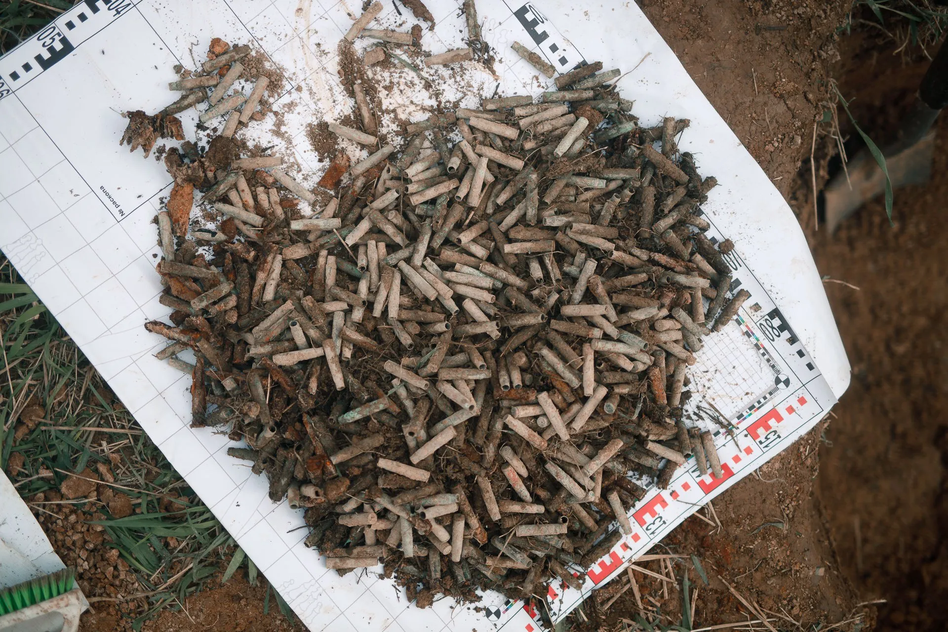 Фото: t.me/nfexpedition