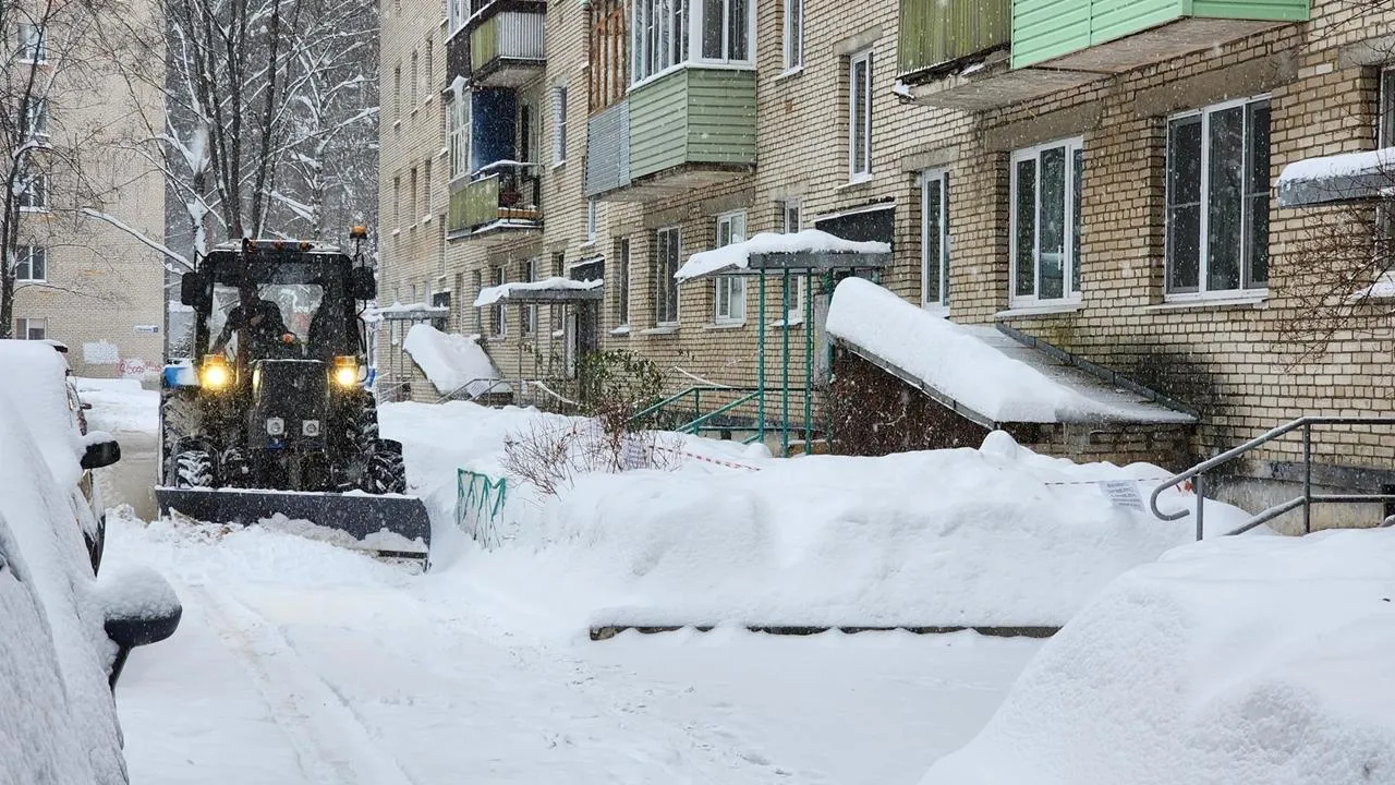 REGIONS/Анна Мороз