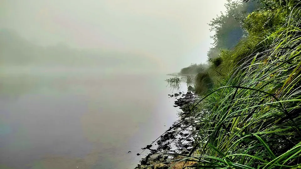 Фото: REGIONS/Алексей Селиверстов