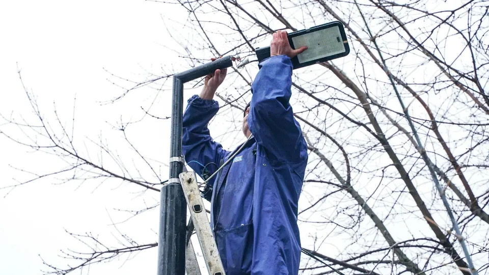 Фото: пресс-служба администрации г.о. Химки