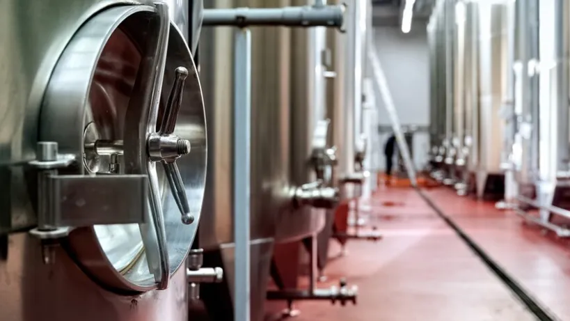 Фото: freepik.com