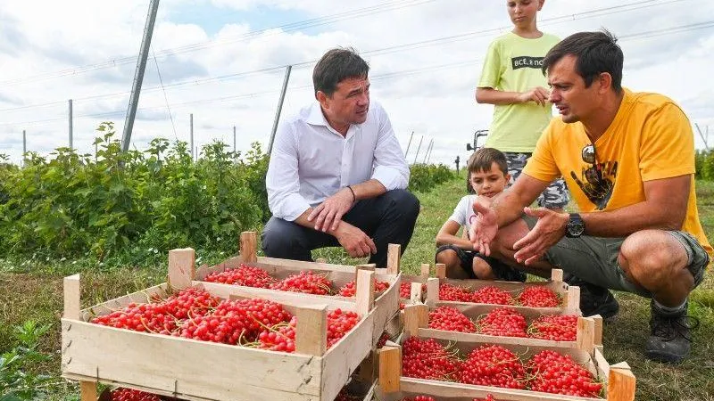 Денис Трудников / Подмосковье сегодня