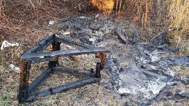 «Кошкин дом» сгорел в Видном