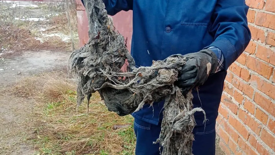 Фото: пресс-служба администрации г.о. Чехов