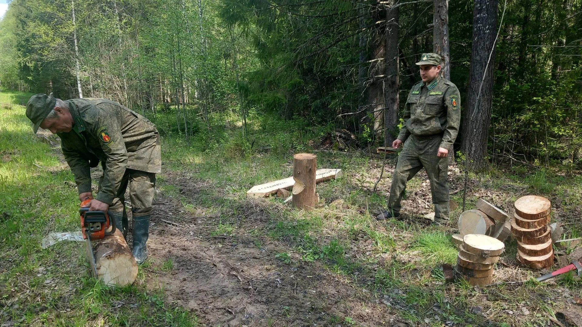 Фото: Комитет лесного хозяйства Московской области