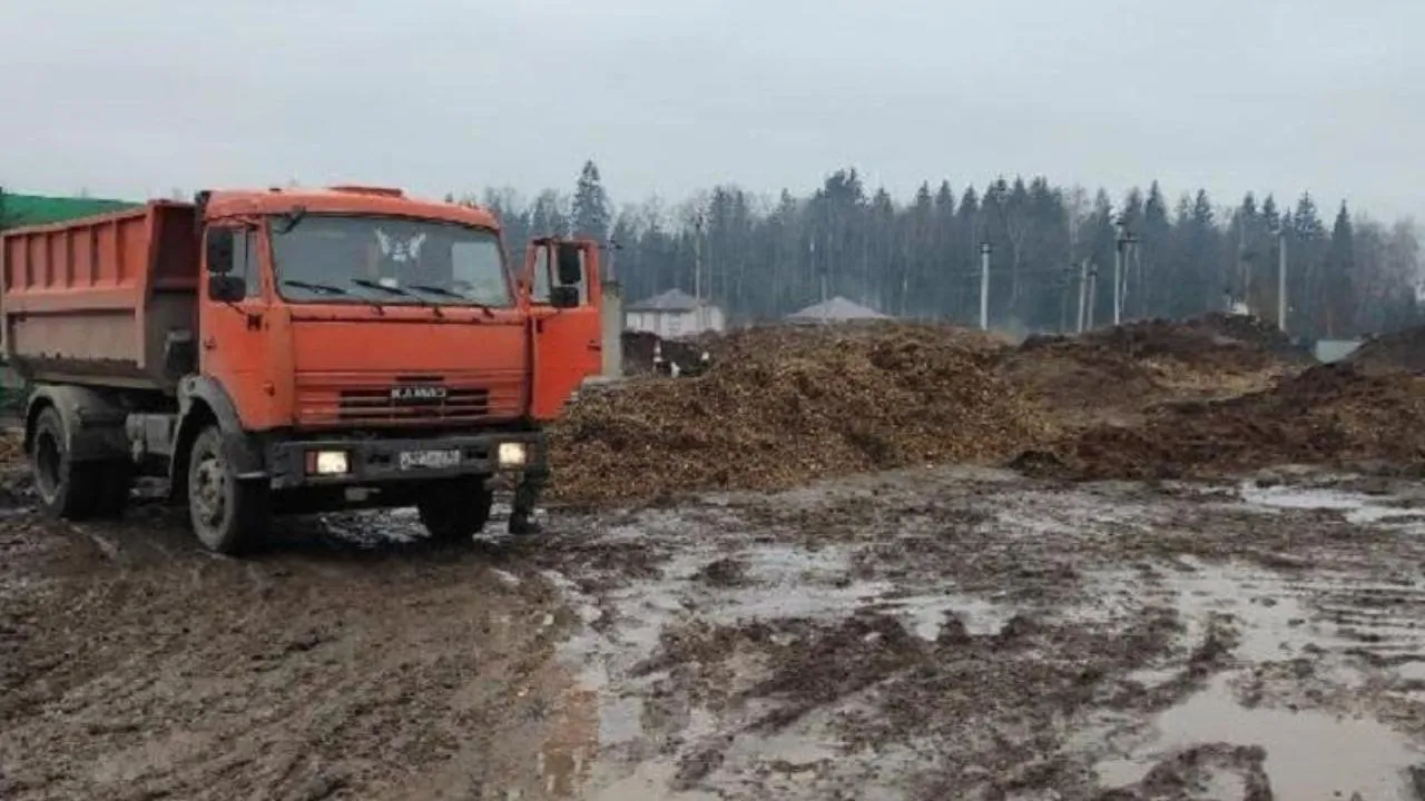 Минэкологии Подмосковья поддержит требование о приведении в порядок мытищинских земель