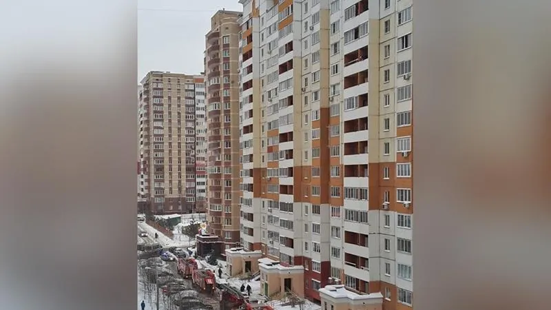 Десять кошек и собака погибли во время пожара в квартире под Одинцово