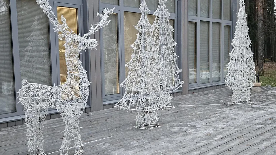 Фото: Ольга Вельшикаева