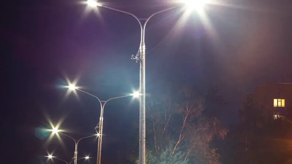 Фото: Министерство благоустройства Московской области