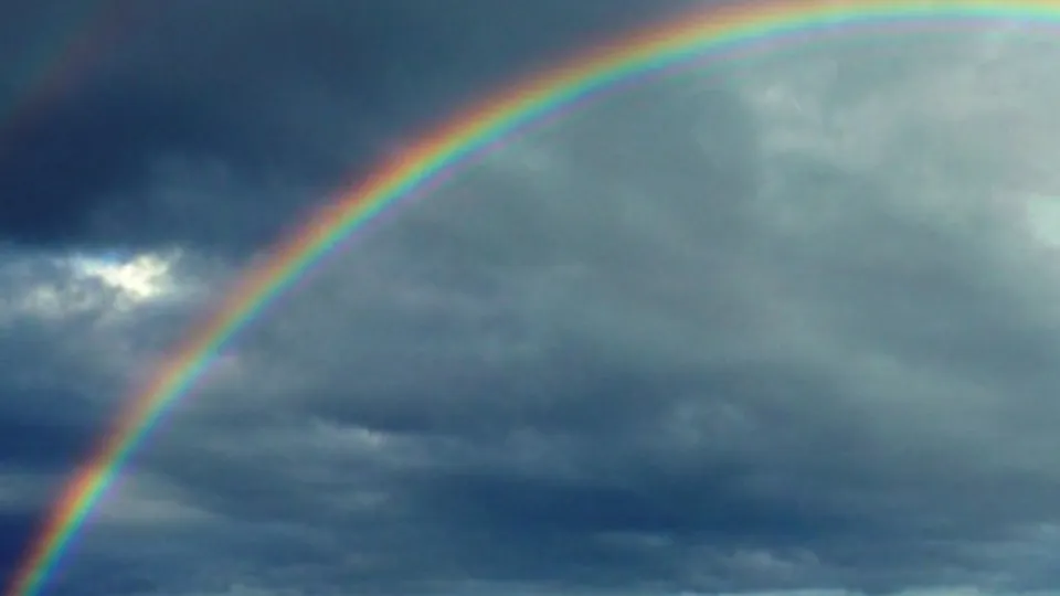 Фото: pxhere.com