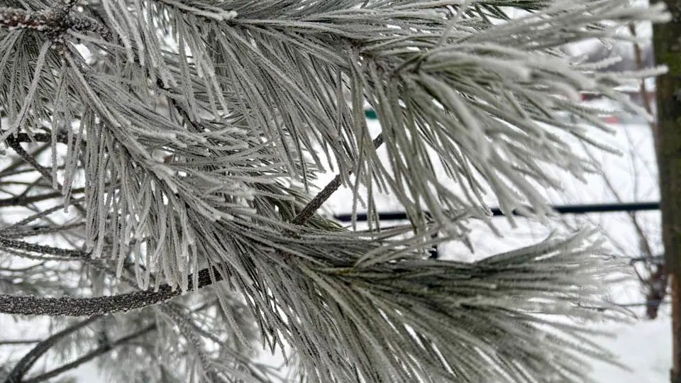 Фото: REGIONS/Анастасия Малышенко