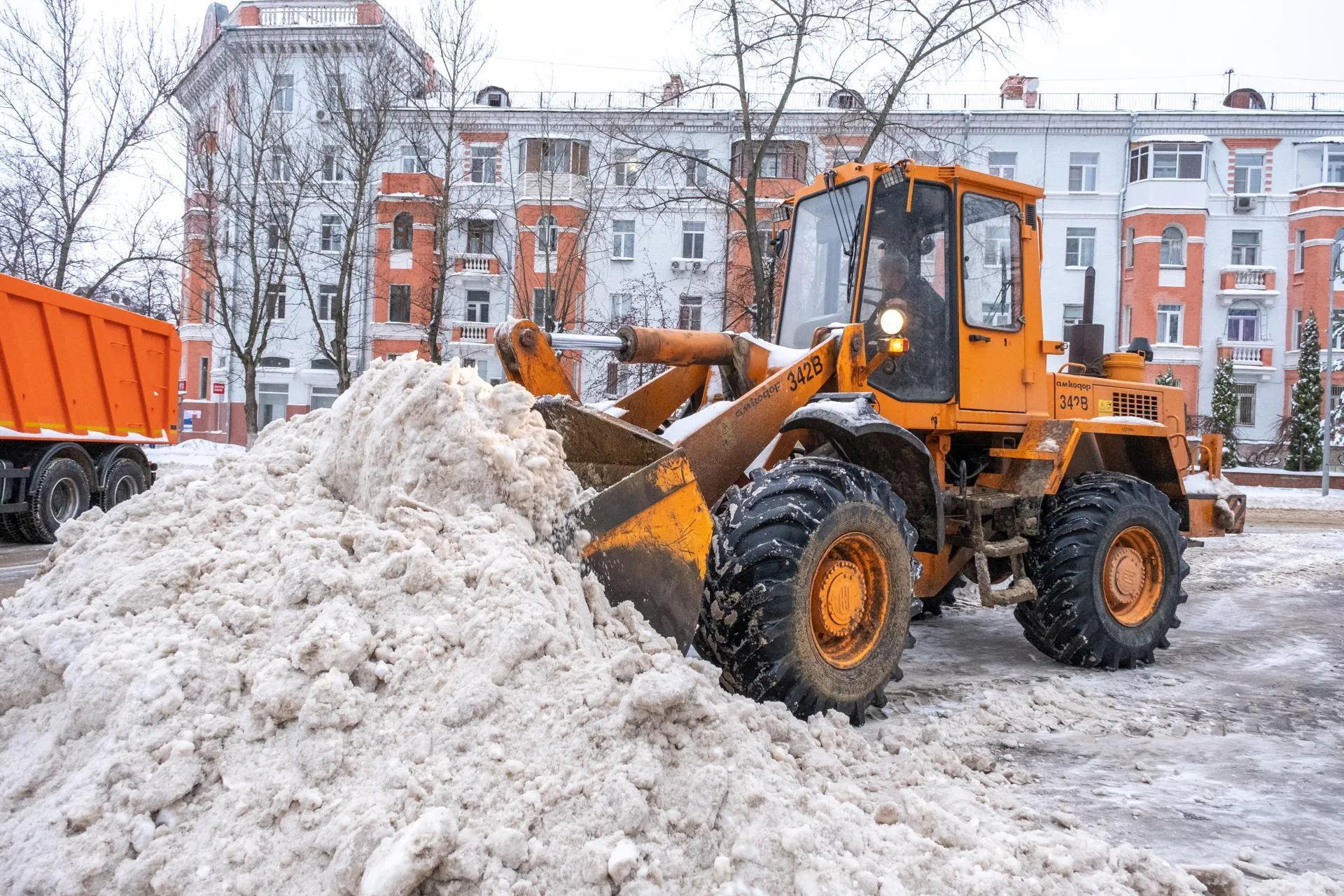 Фото: Александр Щербаков
