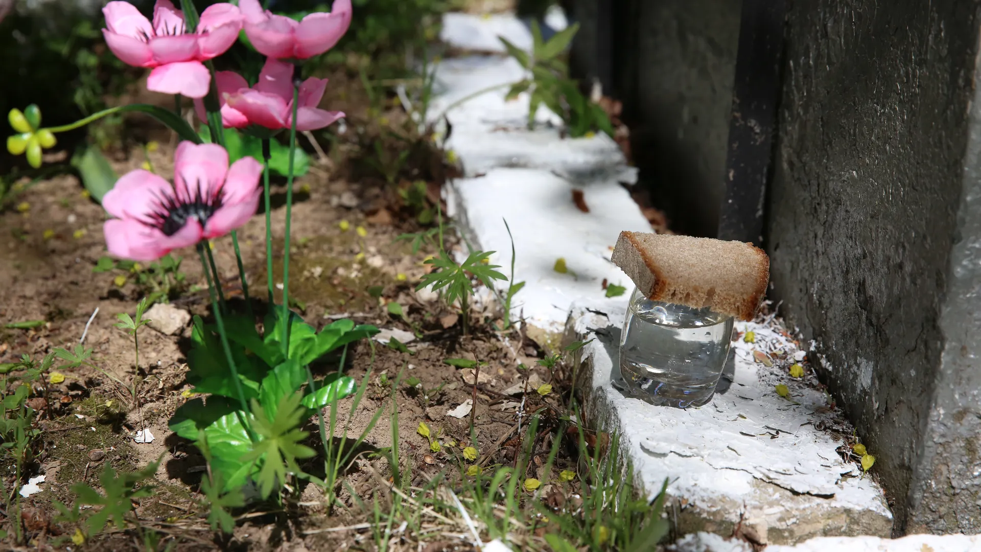 Акт осмотра вместо устных договоренностей: как изменится порядок на кладбищах Подмосковья