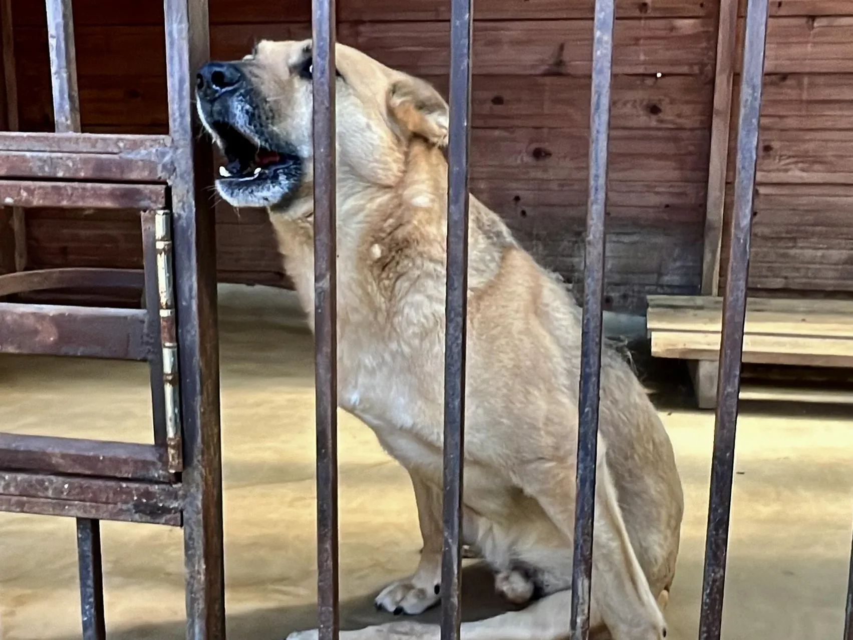 Фото: Анна Тюрюмина&nbsp; &nbsp; &nbsp; &nbsp;