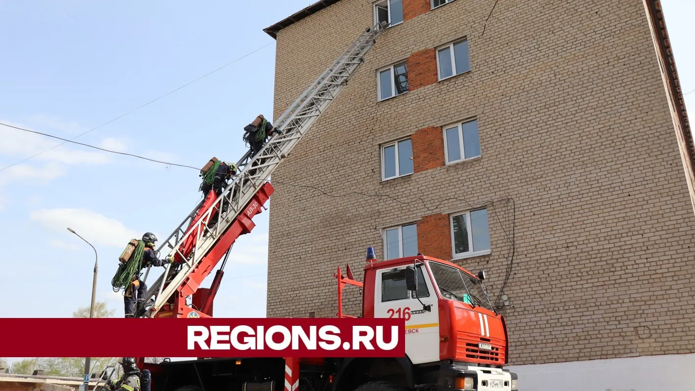 Фото: Василий Тремасов